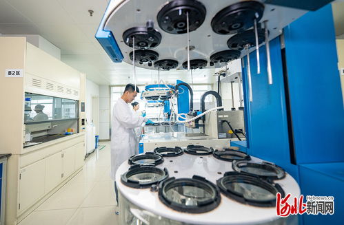 奋力谱写中国式现代化建设河北篇章 | 解码石药 创新引领的“药”素密码